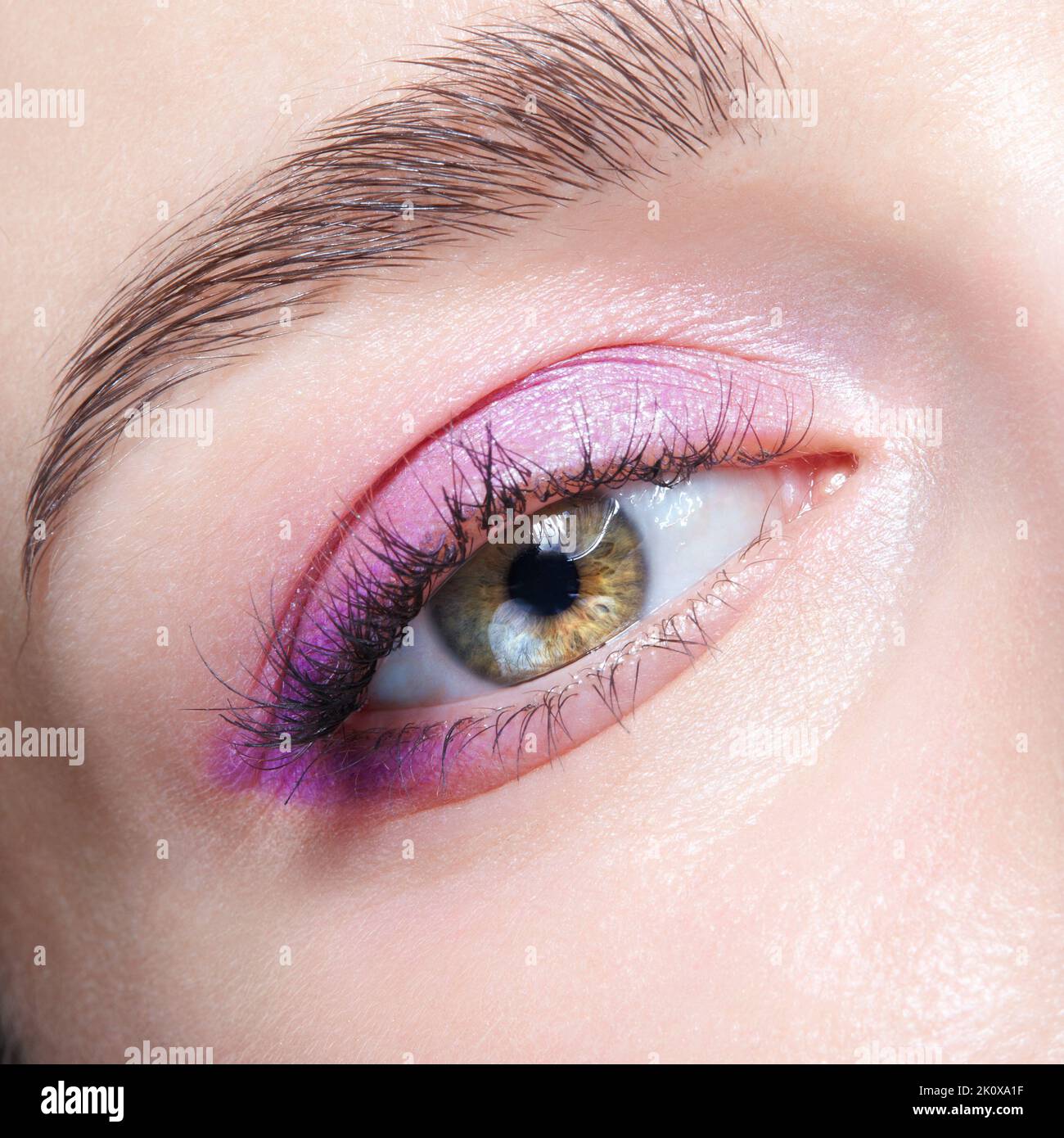 Gros plan de l'œil féminin humain. Femme avec le maquillage naturel de beauté de visage de vogue de soirée. Fille avec une peau parfaite et des yeux roses fumés ombres à paupières. Banque D'Images