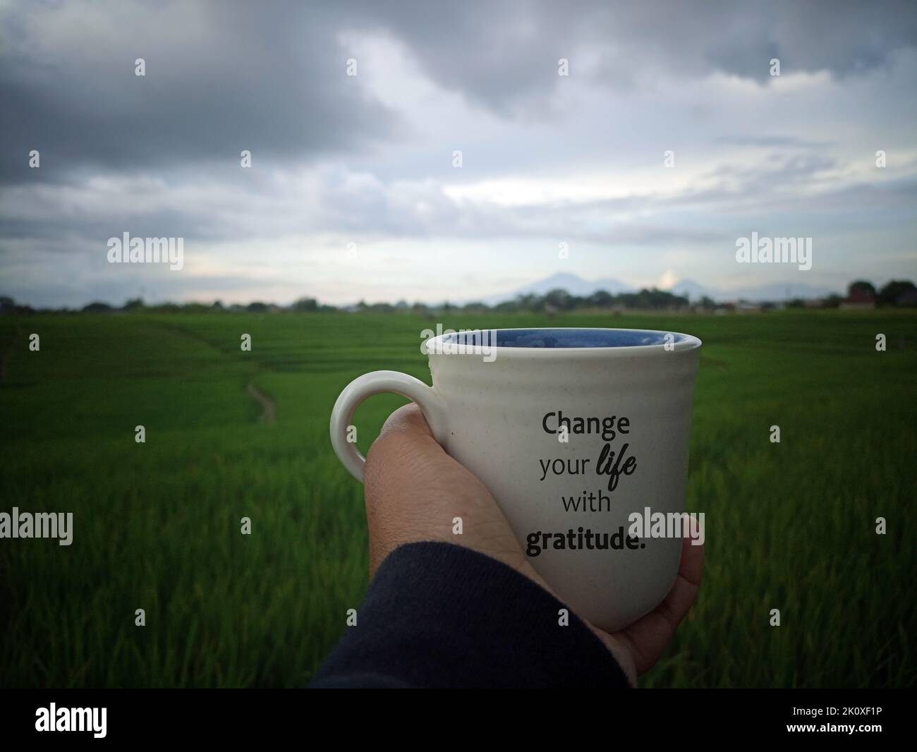 Personne tenant une tasse blanche de café ou de thé en main avec un message texte - changez votre vie avec gratitude. Sur fond de champ vert sur fond bleu gris. Banque D'Images