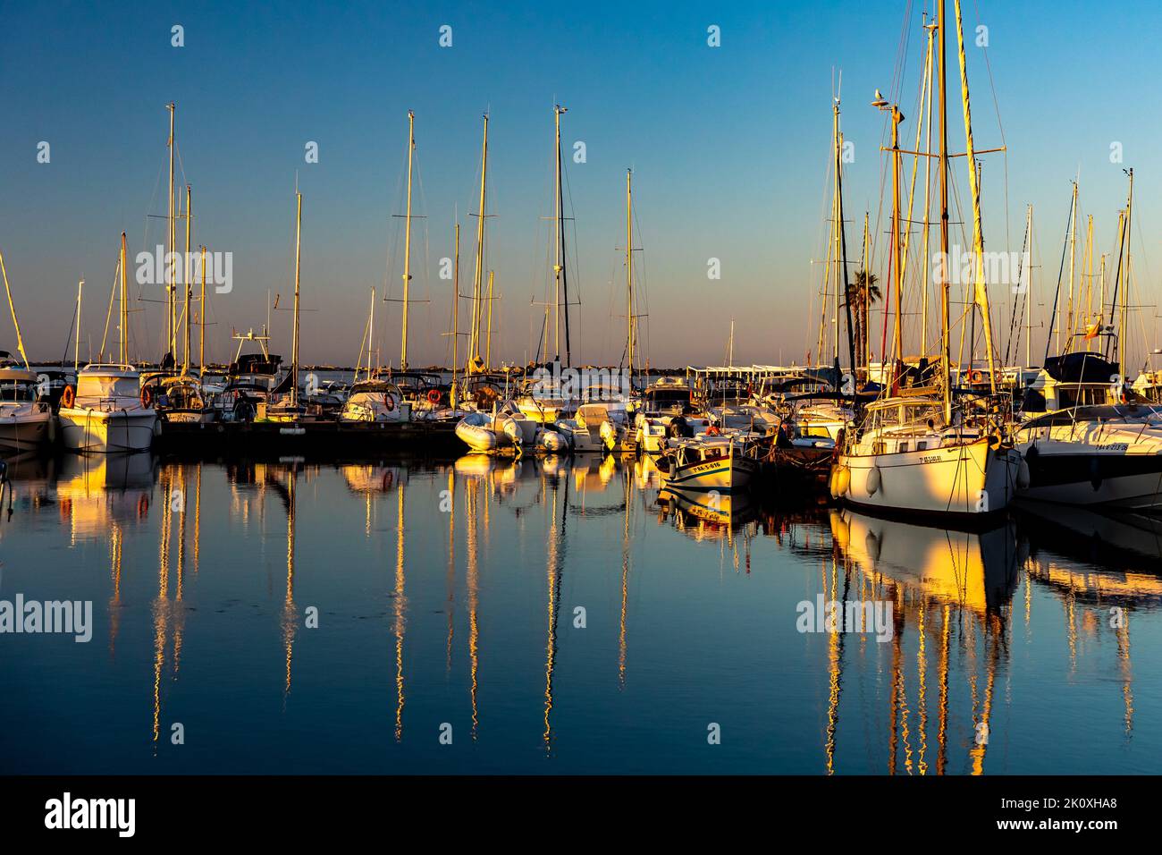 France. Aude (11) Port Leucate, marina Banque D'Images