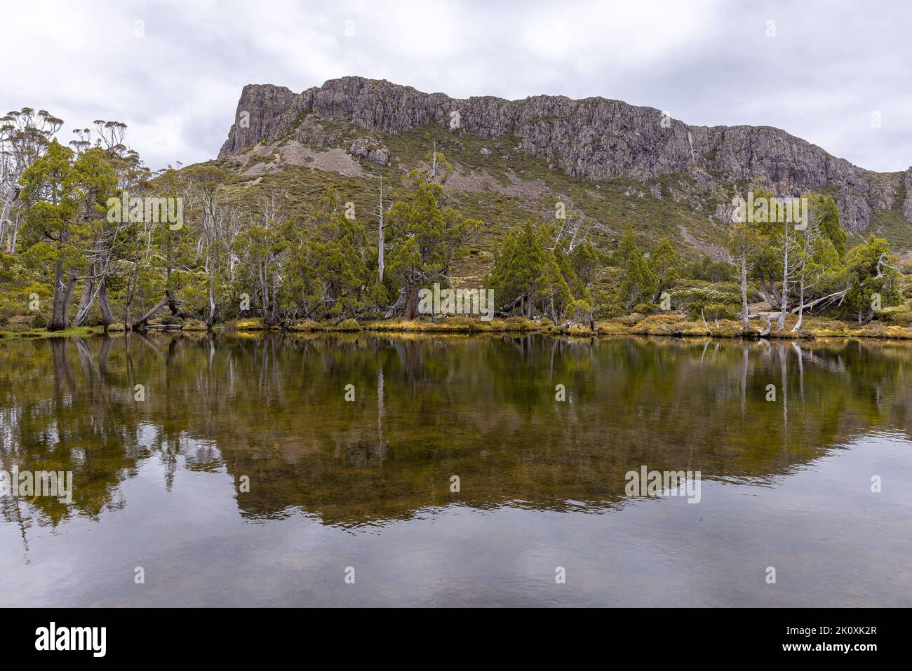 la belle piscine de bethesda aux murs du parc national de jérusalem en tasmanie Banque D'Images