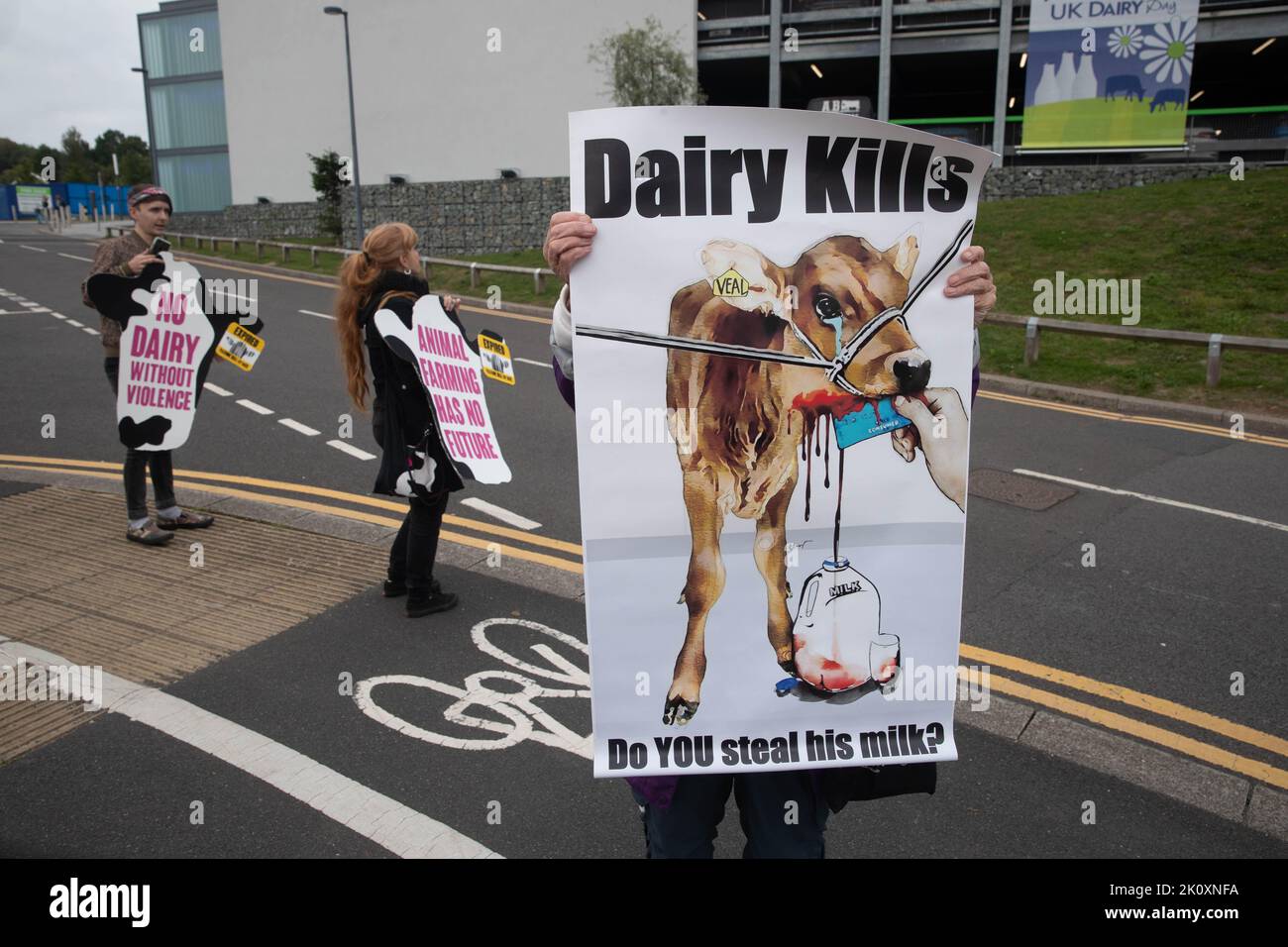 Centre international, Telford, Shropshire 14th septembre 2022. Des activistes du groupe de défense des droits des animaux Animal Justice Project protestant lors de la journée laitière du Royaume-Uni, l'un des plus grands événements laitiers agricoles organisés au Royaume-Uni. Credit Tim Scrivener/Alay Live News Banque D'Images