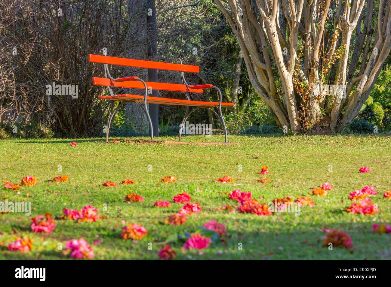 Prenez place et détendez-vous, banc dans le parc public de Gramado, dans le sud du Brésil Banque D'Images