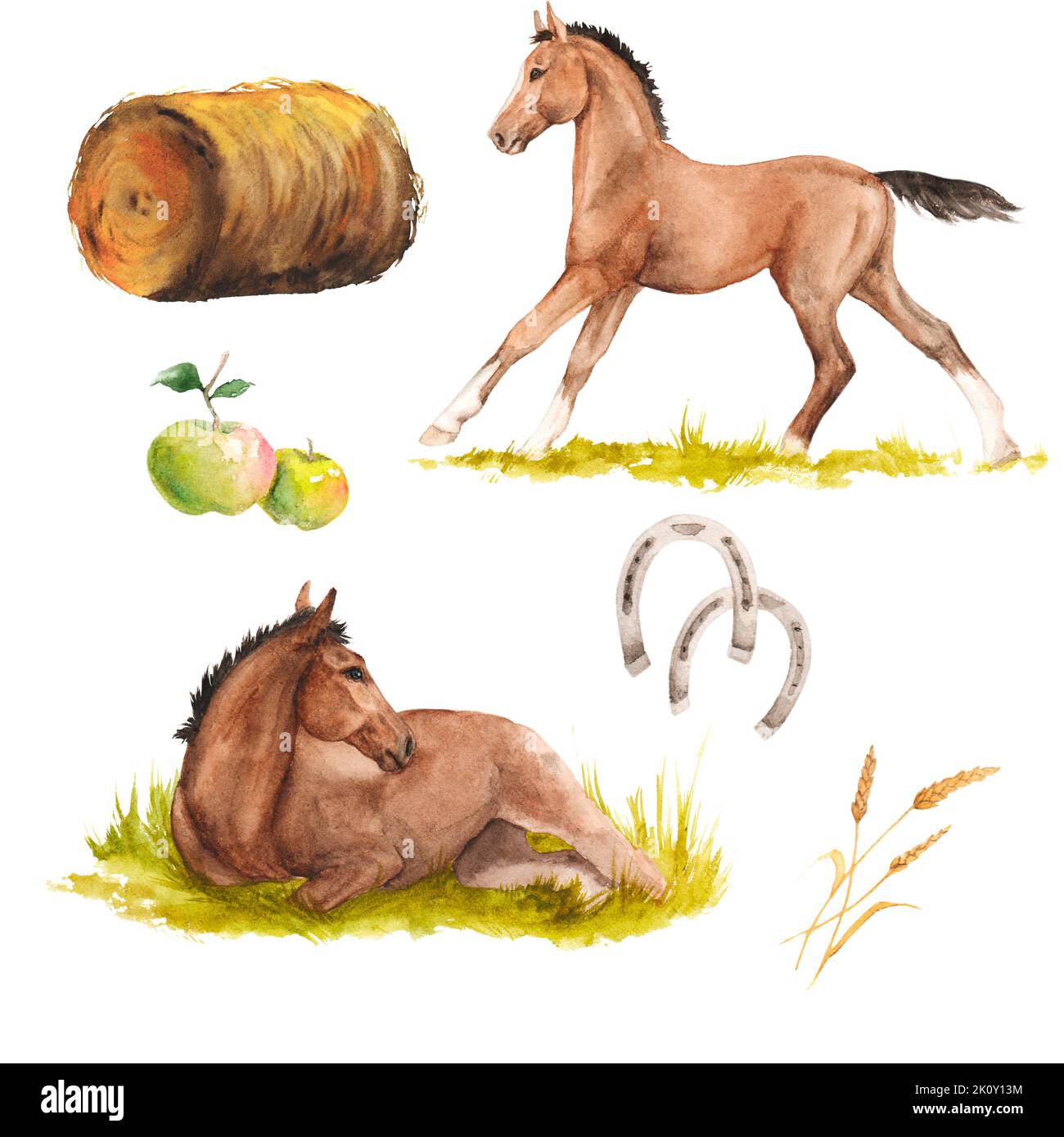 Illustration aquarelle de chevaux, fers à cheval, foin, pommes ensemble isolé Banque D'Images