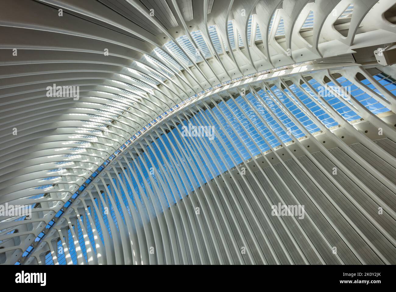 L'Àgora (Forum Caix) à la Cité des Arts et des Sciences (Ciutat des Arts i les Ciències) à Valence, Espagne. Banque D'Images L'Àgora (Forum Caix) à la Cité des Arts et des Sciences (Ciutat des Arts i les Ciències) à Valence, Espagne. Banque D'Images