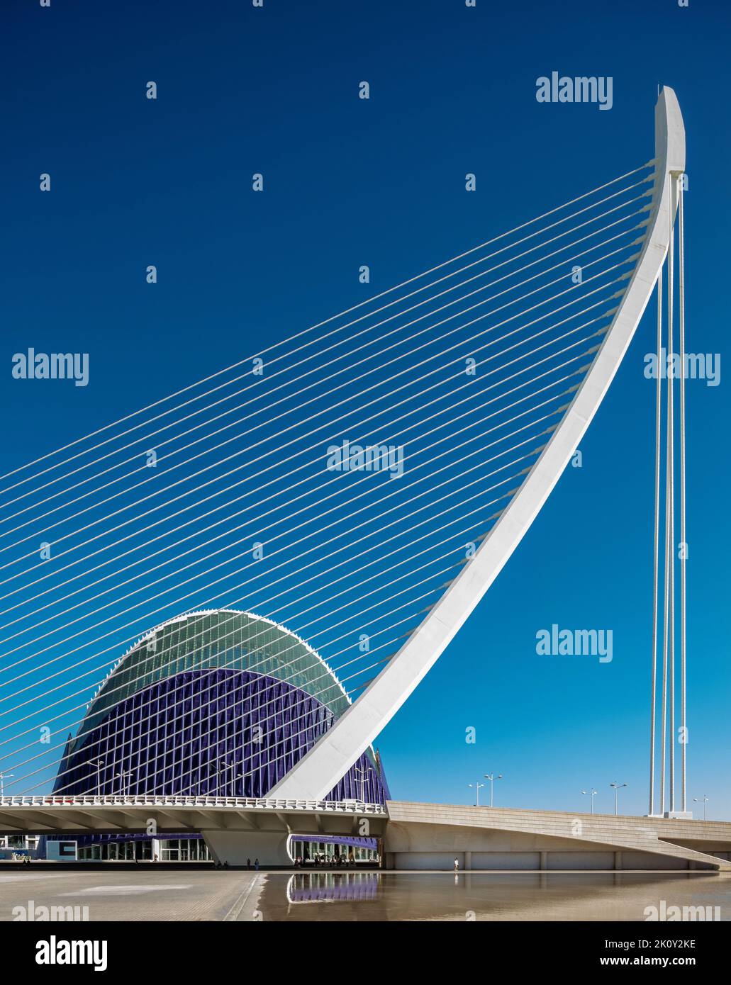 L'Àgora (Forum Caix) à la Cité des Arts et des Sciences (Ciutat des Arts i les Ciències) à Valence, Espagne. Banque D'Images