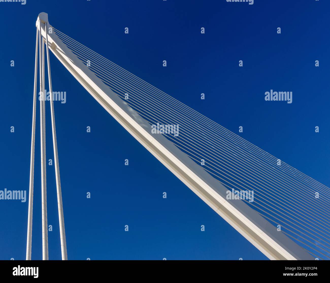 Pont Assut de l'Or à la Cité des Arts et des Sciences (Ciutat des Arts i les Ciències) à Valence, Espagne. Banque D'Images