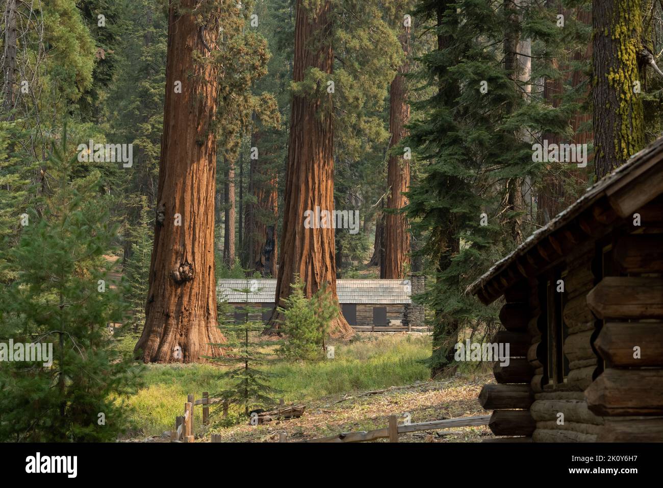 Les chalets en rondins s'assoient à Mariposa Grove, dans le parc national de Yosemite Banque D'Images