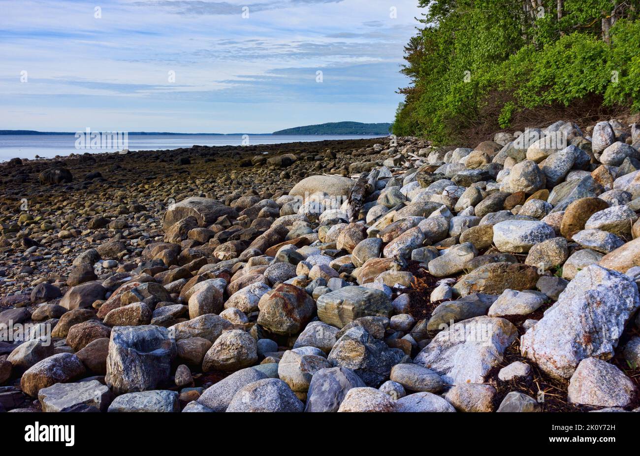 Rivage rocheux accidenté de la côte du Maine à marée basse dans la lumière du matin. Banque D'Images