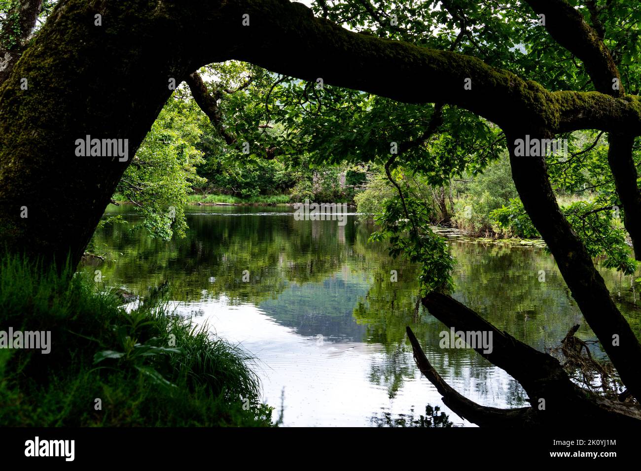 Réunion des eaux, Killarney.. C'est là que les trois magnifiques lacs