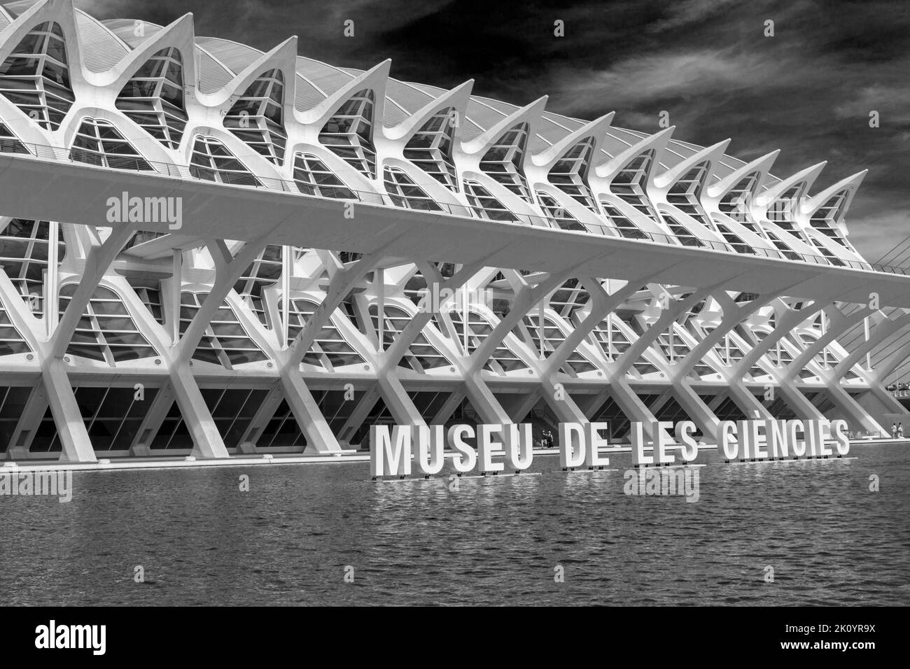 Museu des Ciencies, le Musée des Sciences Príncipe Felipe, à la Cité des Arts et des Sciences de Valence, Espagne en septembre Banque D'Images