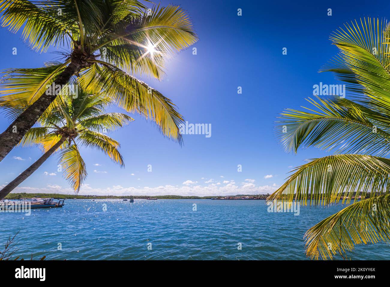 Idyllique plage de Porto Seguro par temps ensoleillé avec palmiers à BAHIA, Brésil Banque D'Images