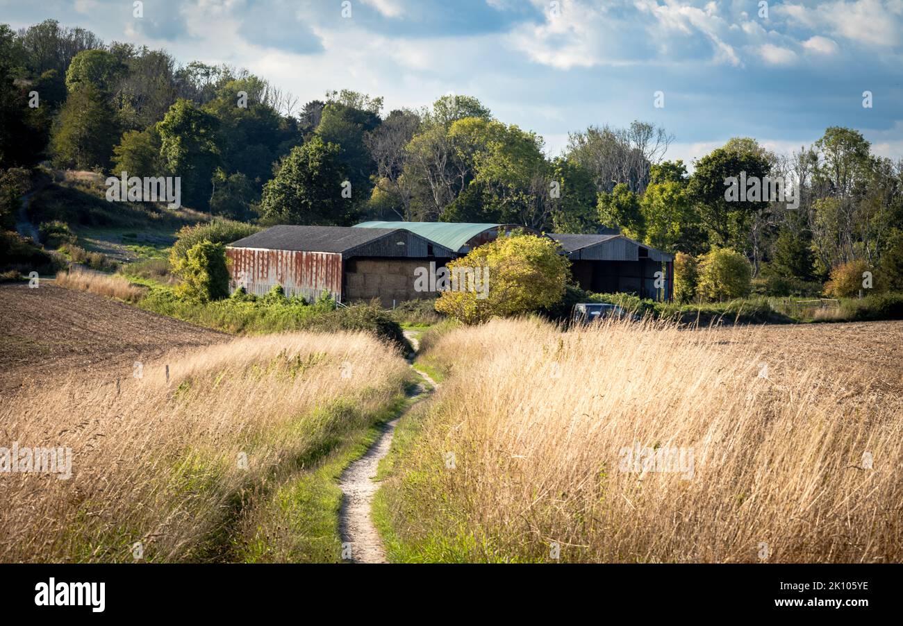 Le foin est entreposé dans des granges et des bâtiments de ferme sur la South Downs Way, une longue distance de marche à travers le parc national de South Downs, West Sussex, Royaume-Uni. Banque D'Images