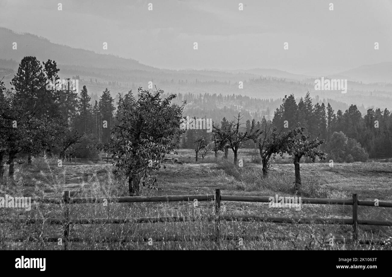 Ferme de fumée et de brume Kelowna BC Banque D'Images