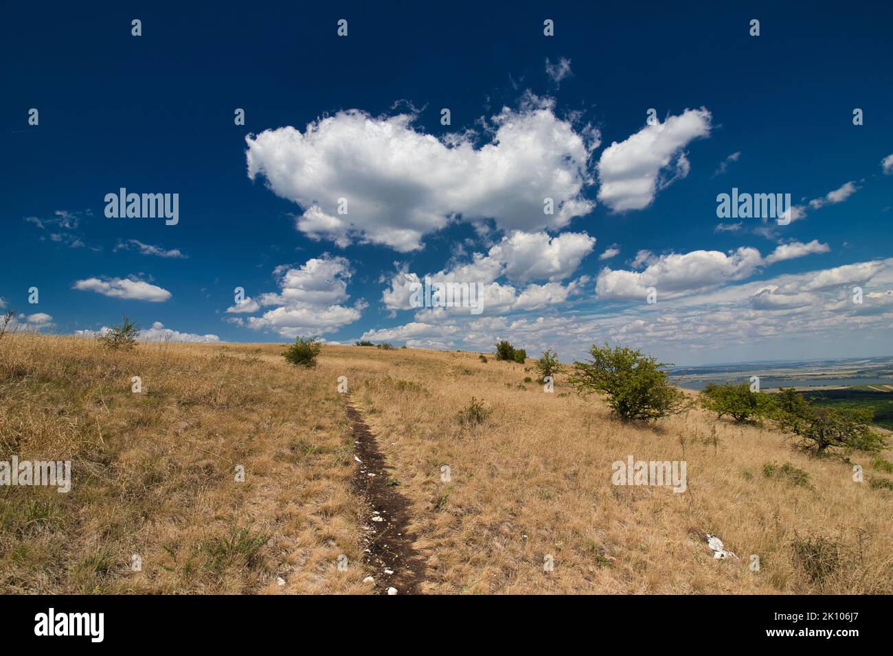 Herbe sèche sur la montagne de la Table à Palava, en chaude journée d'été sous les nuages blancs et le ciel bleu. République tchèque. Banque D'Images Herbe sèche sur la montagne de la Table à Palava, en chaude journée d'été sous les nuages blancs et le ciel bleu. République tchèque. Banque D'Images