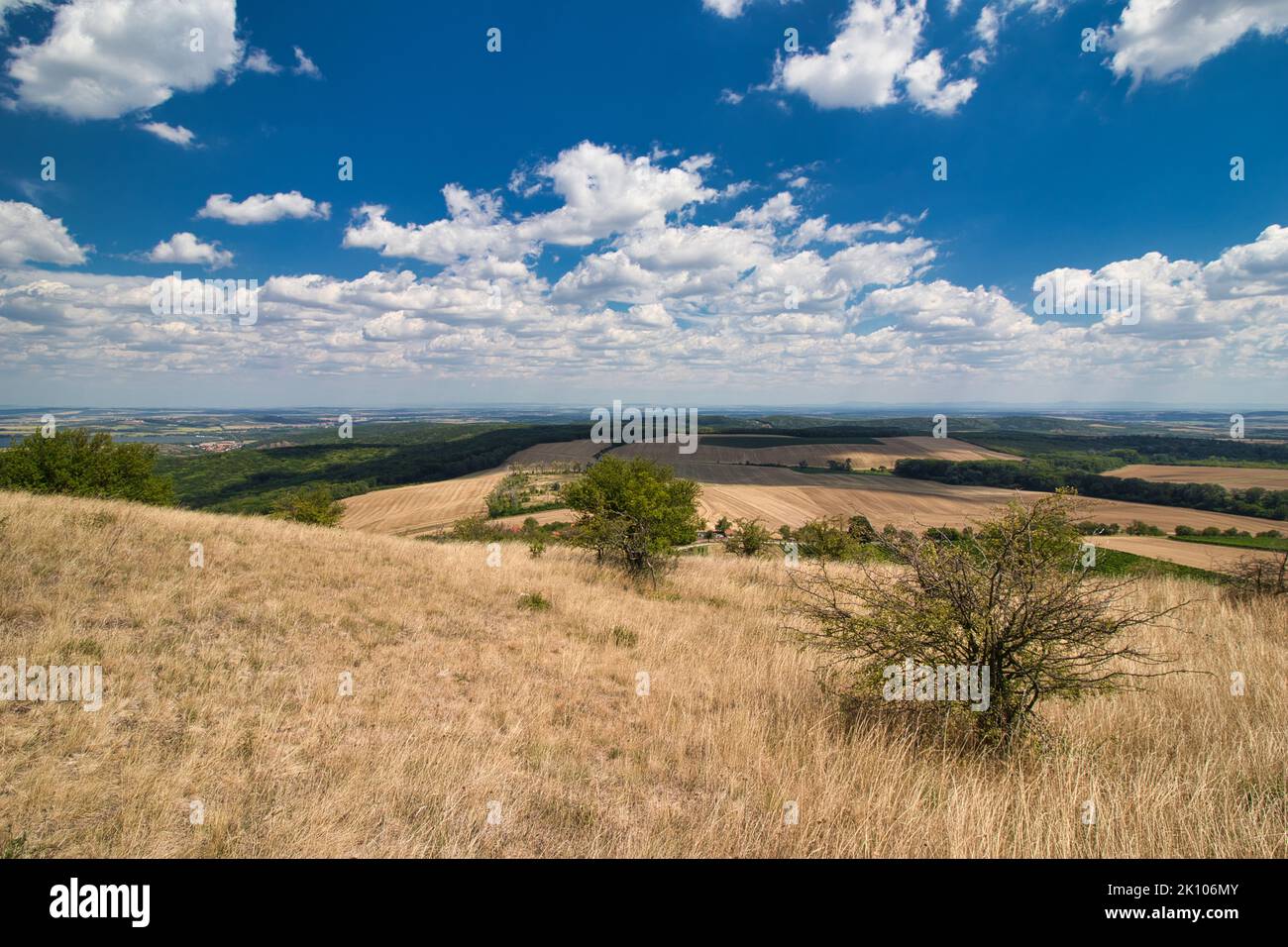 Herbe sèche sur la montagne de la Table à Palava, en chaude journée d'été sous les nuages blancs et le ciel bleu. République tchèque. Banque D'Images Herbe sèche sur la montagne de la Table à Palava, en chaude journée d'été sous les nuages blancs et le ciel bleu. République tchèque. Banque D'Images