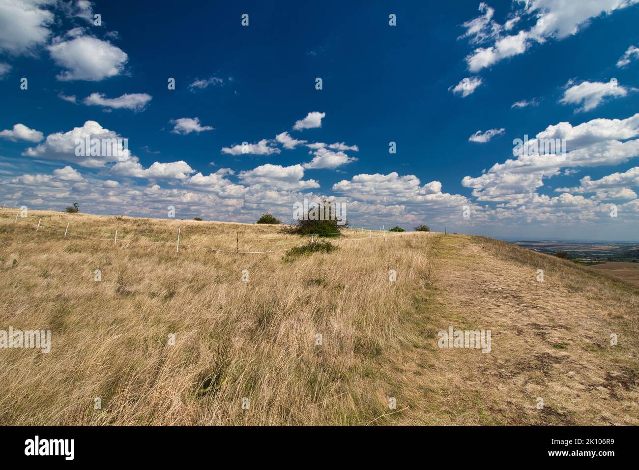 Herbe sèche sur la montagne de la Table à Palava, en chaude journée d'été sous les nuages blancs et le ciel bleu. République tchèque. Banque D'Images Herbe sèche sur la montagne de la Table à Palava, en chaude journée d'été sous les nuages blancs et le ciel bleu. République tchèque. Banque D'Images