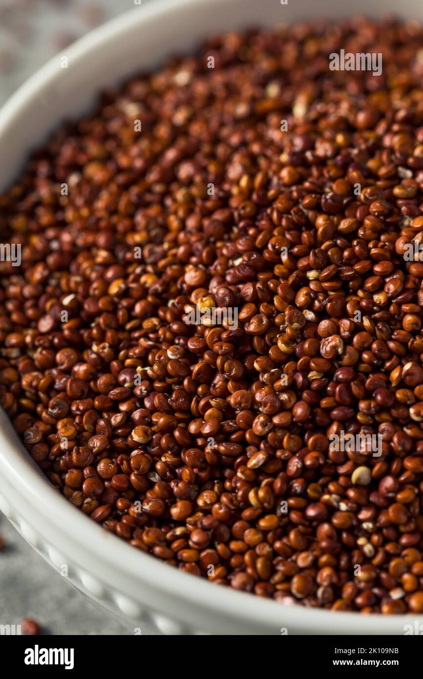 Graine de quinoa rouge biologique brute dans un bol Banque D'Images