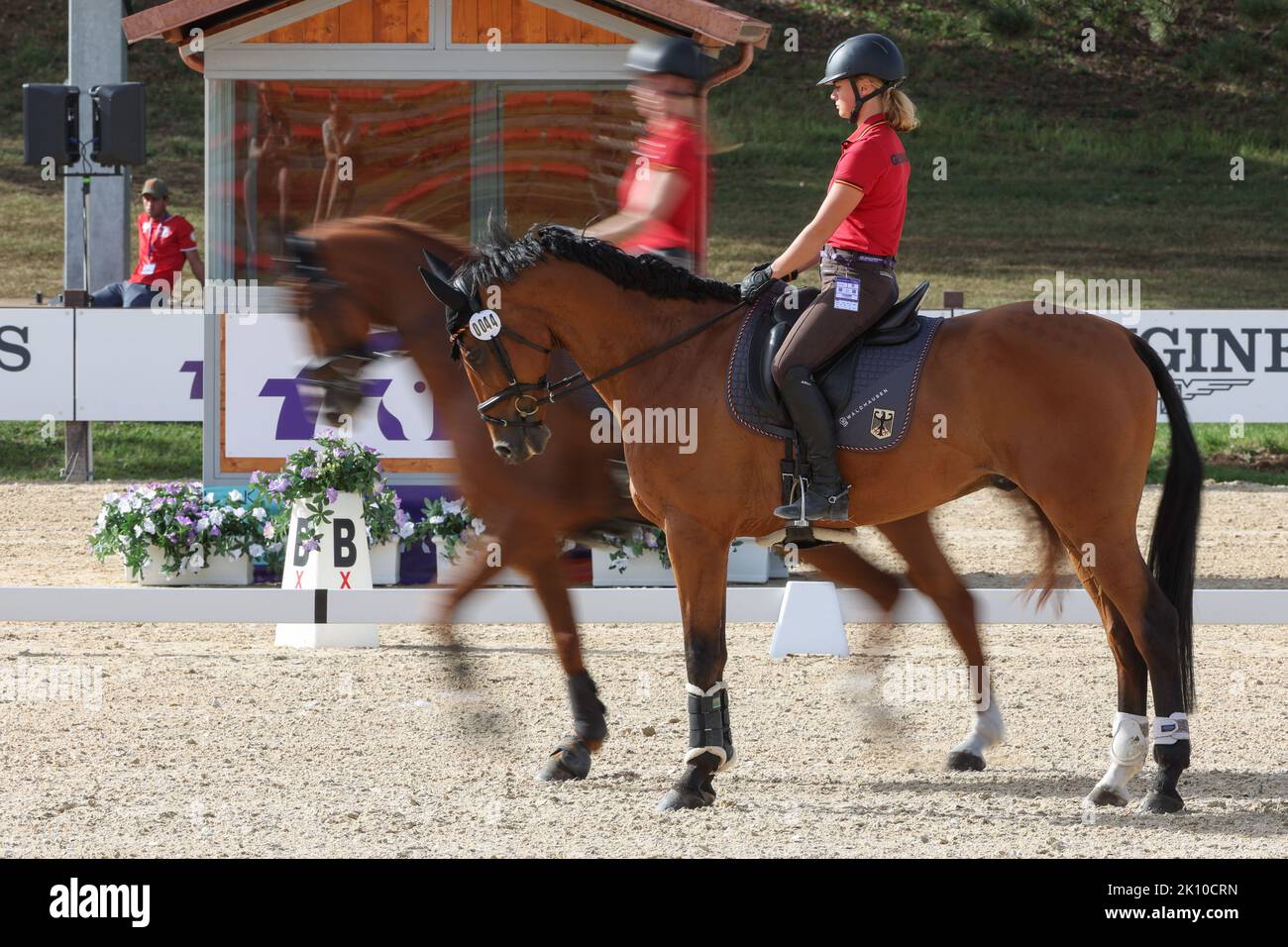 Rocca Di Papa, Italie. 14th septembre 2022. Sport équestre: Championnat du monde, Evesting, dressage. Le dressage Alina Dibowski (Allemagne) se déplace à la Barbade pendant une séance d'entraînement. Les chevaux évétants allemands sont en forme pour les championnats du monde en Italie. Les cinq amis à quatre pattes ont passé l'examen vétérinaire sans aucune plainte. Les compétitions du triathlon équestre débuteront jeudi avec dressage. Après le cross-country samedi, la décision sera prise dans le saut le dimanche. Credit: Friso Gentsch/dpa/Alay Live News Banque D'Images