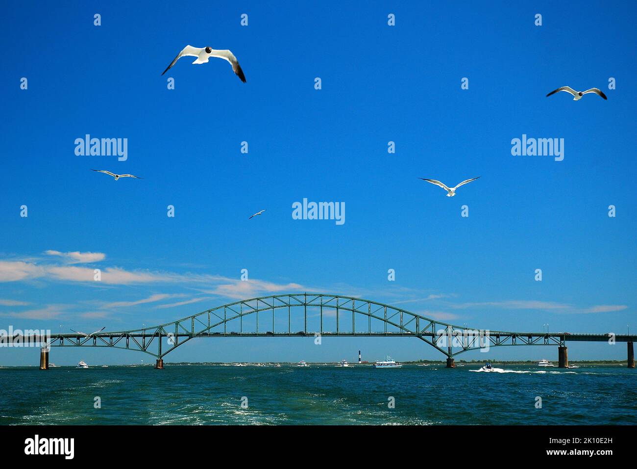 Un mouette glisse dans le ciel d'été au-dessus de la baie de long Island, à la vue de la chaussée Robert Moses Banque D'Images