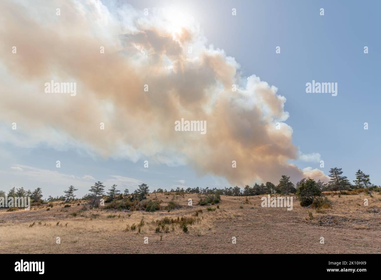 Le feu de forêt fait des ravages sur le causse de sauveterre. Montuejols, Aveyron, Cévennes, France. Banque D'Images