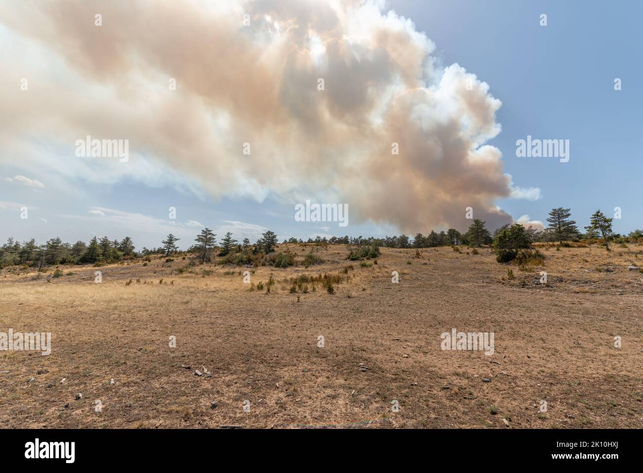 Le feu de forêt fait des ravages sur le causse de sauveterre. Montuejols, Aveyron, Cévennes, France. Banque D'Images