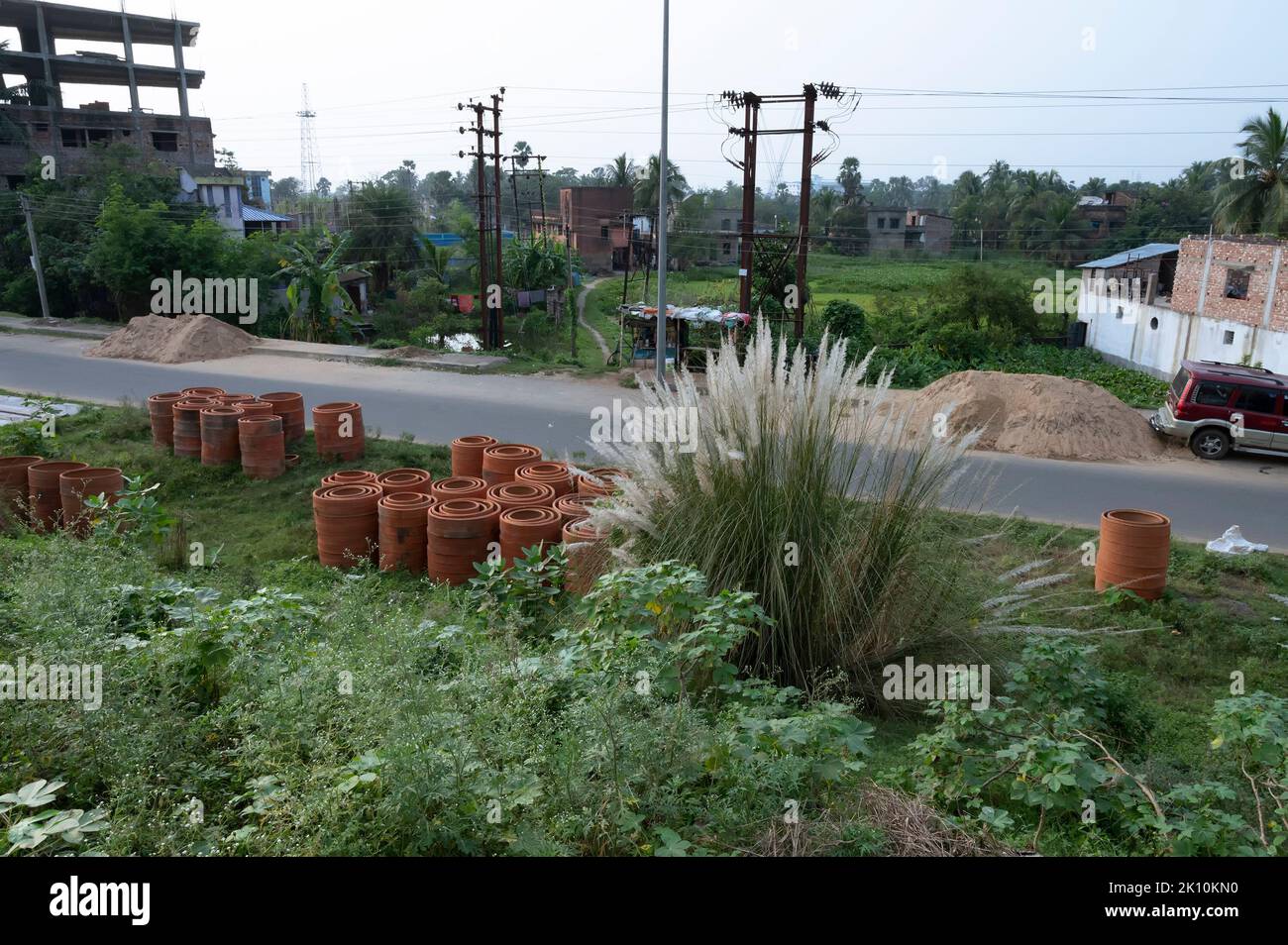 Kaashful, kans herbe ou Saccharum spontaneum, blooming à côté de la haute route du Bengale occidental, Inde. La croissance saisonnière de Kaashful est associée au calendrier Banque D'Images