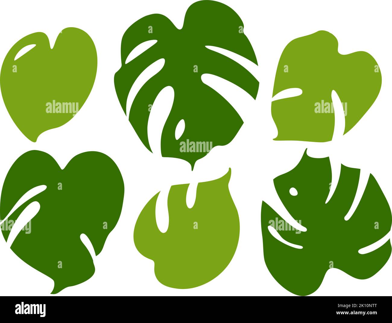 Ensemble moderne de feuilles tropicales monstère. Jeu d'illustrations à vecteur plat isolé sur blanc. Illustration de Vecteur