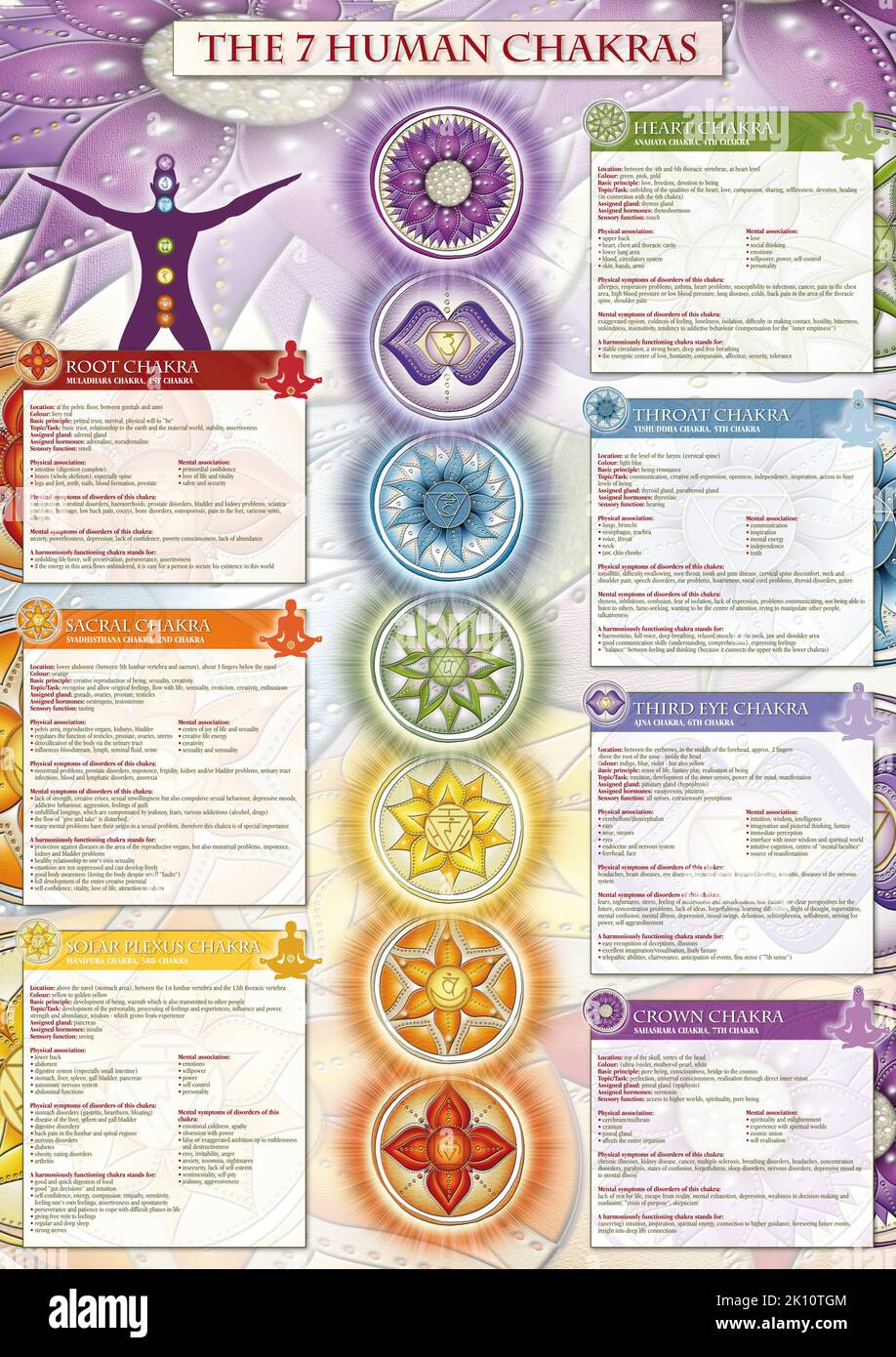 Puissant 7 Chakra - affiche/papier peint Infographique comprenant une description détaillée, des caractéristiques et des caractéristiques Banque D'Images