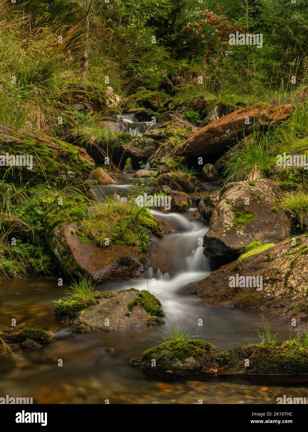 ruisseau Svatopetrsky près de la ville de Spindleruv Mlyn dans les montagnes de Krkonose en été Banque D'Images