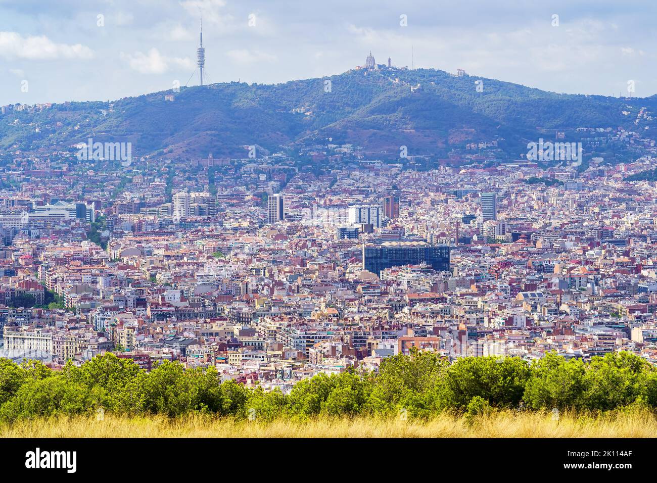 Vue aérienne du centre-ville de Barcelone depuis le Mont Montjuic, Espagne, Catalogne. Banque D'Images