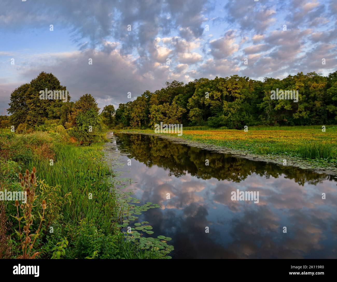 Une zone d'arrière-plan de la rivière DesPlaines reflète un magnifique ciel le matin, la zone de poissons et de faune de la rivière DesPlaines, comté de will, Illinois Banque D'Images