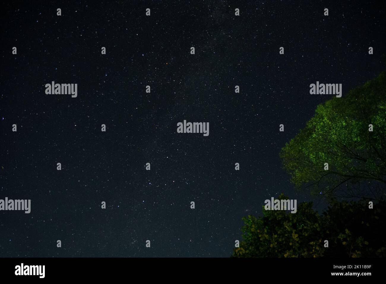 Beaucoup d'étoiles dans le ciel d'été de nuit et la galaxie de la voie lactée, photographiée de la forêt. Niveau de bruit élevé dû à une exposition prolongée Banque D'Images