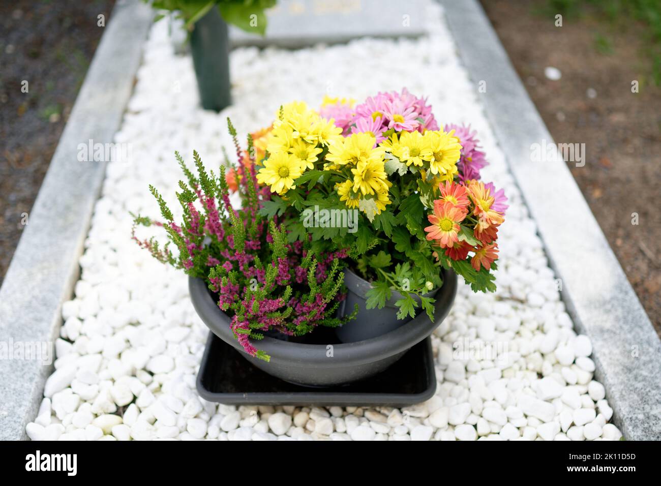 un petit bol avec différentes fleurs de cimetière sur une tombe avec des cailloux blancs Banque D'Images