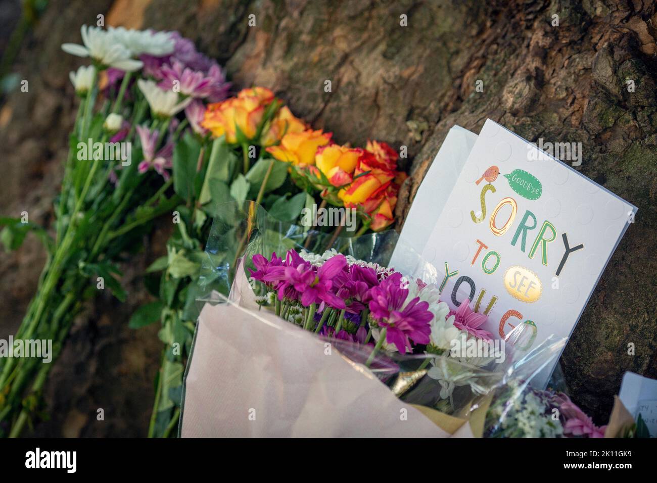 Londres, Royaume-Uni. 14th septembre 2022. Des milliers de personnes ont laissé des hommages floraux, des cartes et des messages à sa Majesté la reine Elizabeth II, décédée à 8 septembre, âgée de 96 ans. Photo Horst A. Friedrichs Alamy Live News Banque D'Images