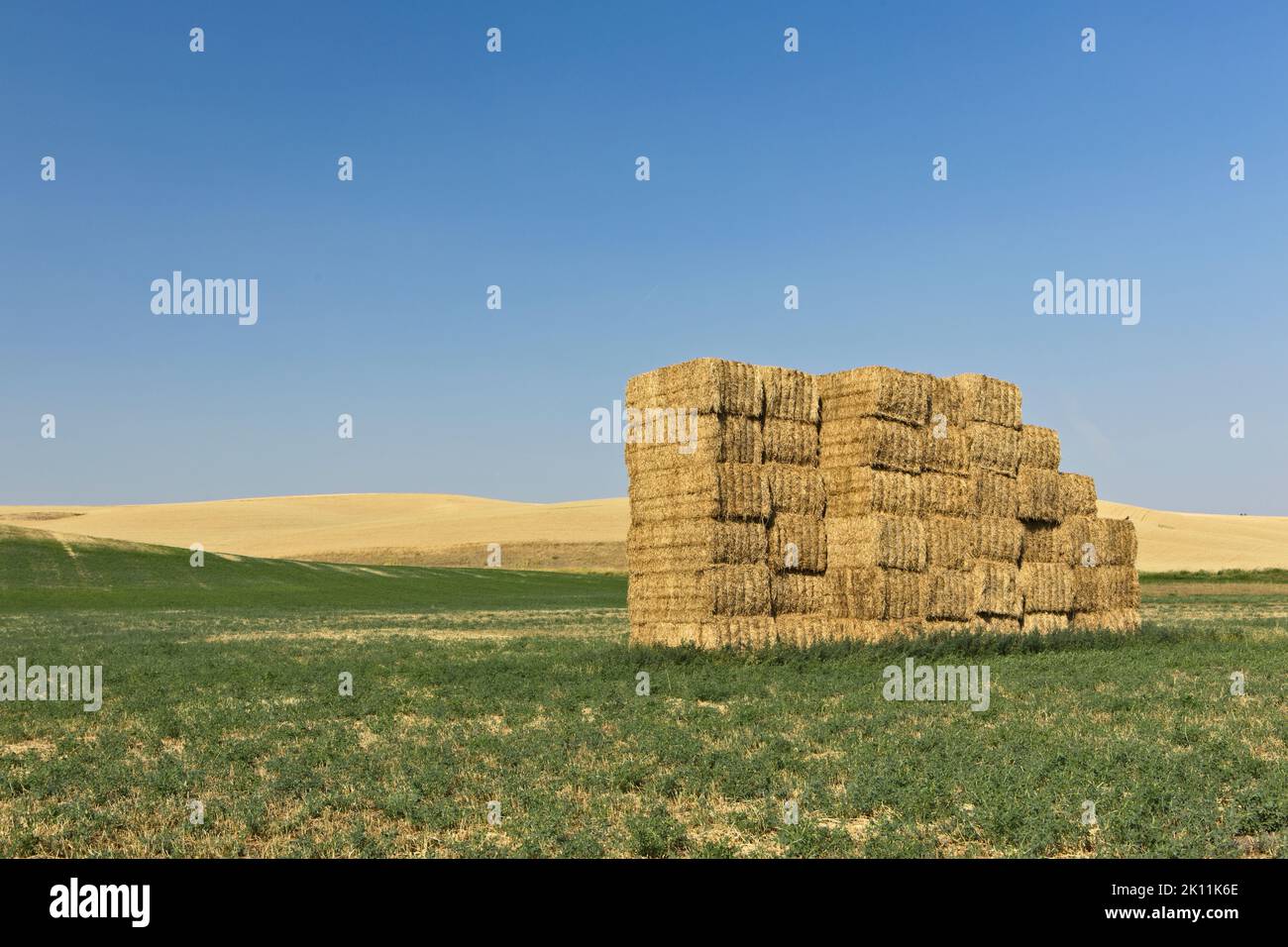De grosses balles de foin ont été placées dans une grande pile de foin dans le nord-est de l'État de Washington, dans la région de Palouse. Banque D'Images