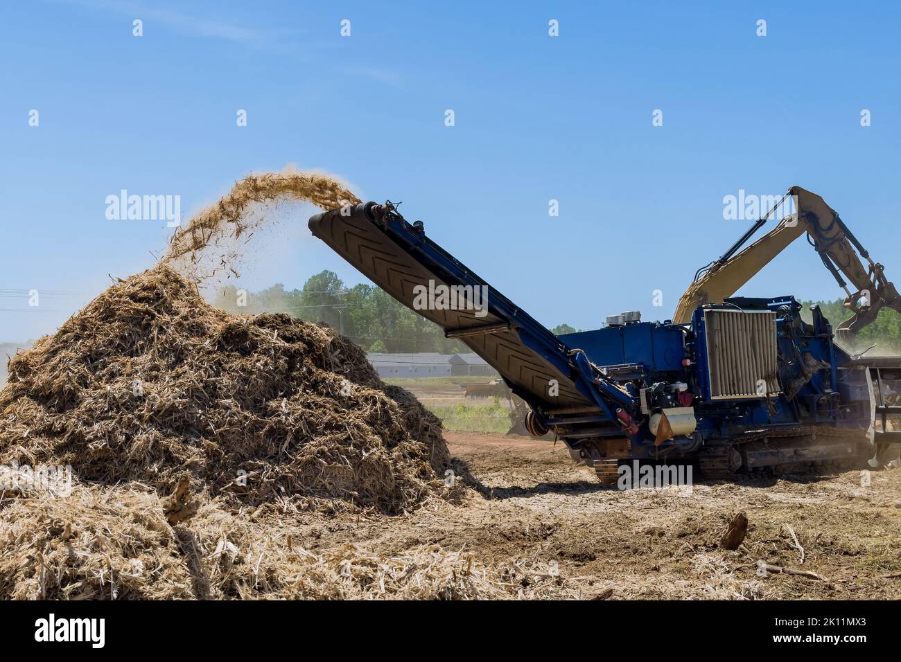 Les racines des arbres qui sont déchiquetés en copeaux sur le sol en préparation pour le développement de logements sont déchiquetées avec le Banque D'Images