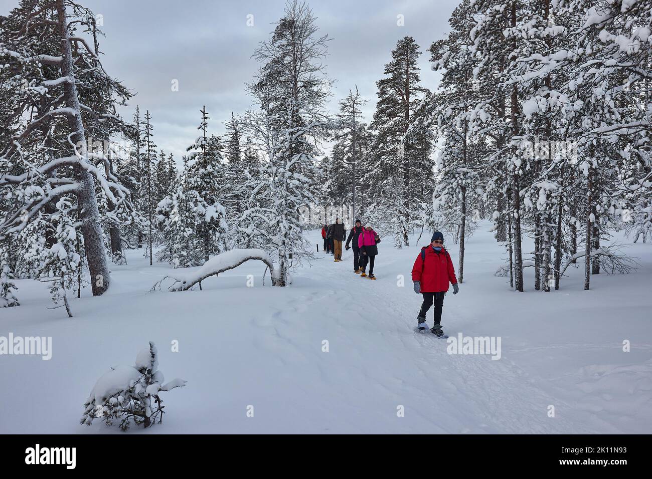 Randonnée en raquettes dans le nord de la Finlande Banque D'Images