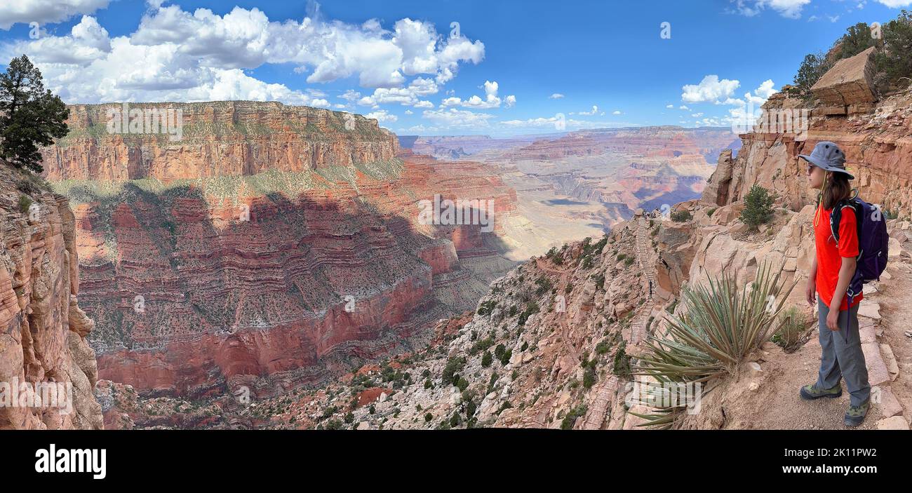 Vue panoramique sur South Kaibab Trail et une jeune fille randonneur avec un cactus en premier plan, Grand Canyon, États-Unis Banque D'Images