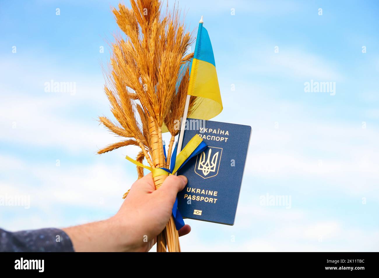 Recentrer le jeune homme portant un passeport ukrainien, un drapeau et des épis de blé attachés et un drapeau sur le fond bleu du ciel. Drapeau de l'Ukraine. Liberté Banque D'Images