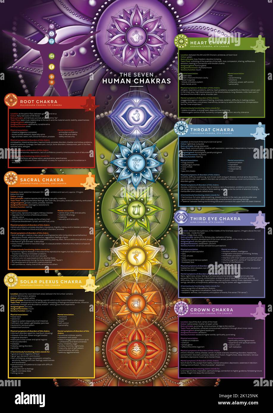 Puissant 7 Chakra - affiche/papier peint Infographique comprenant une description détaillée, des caractéristiques et des caractéristiques Banque D'Images