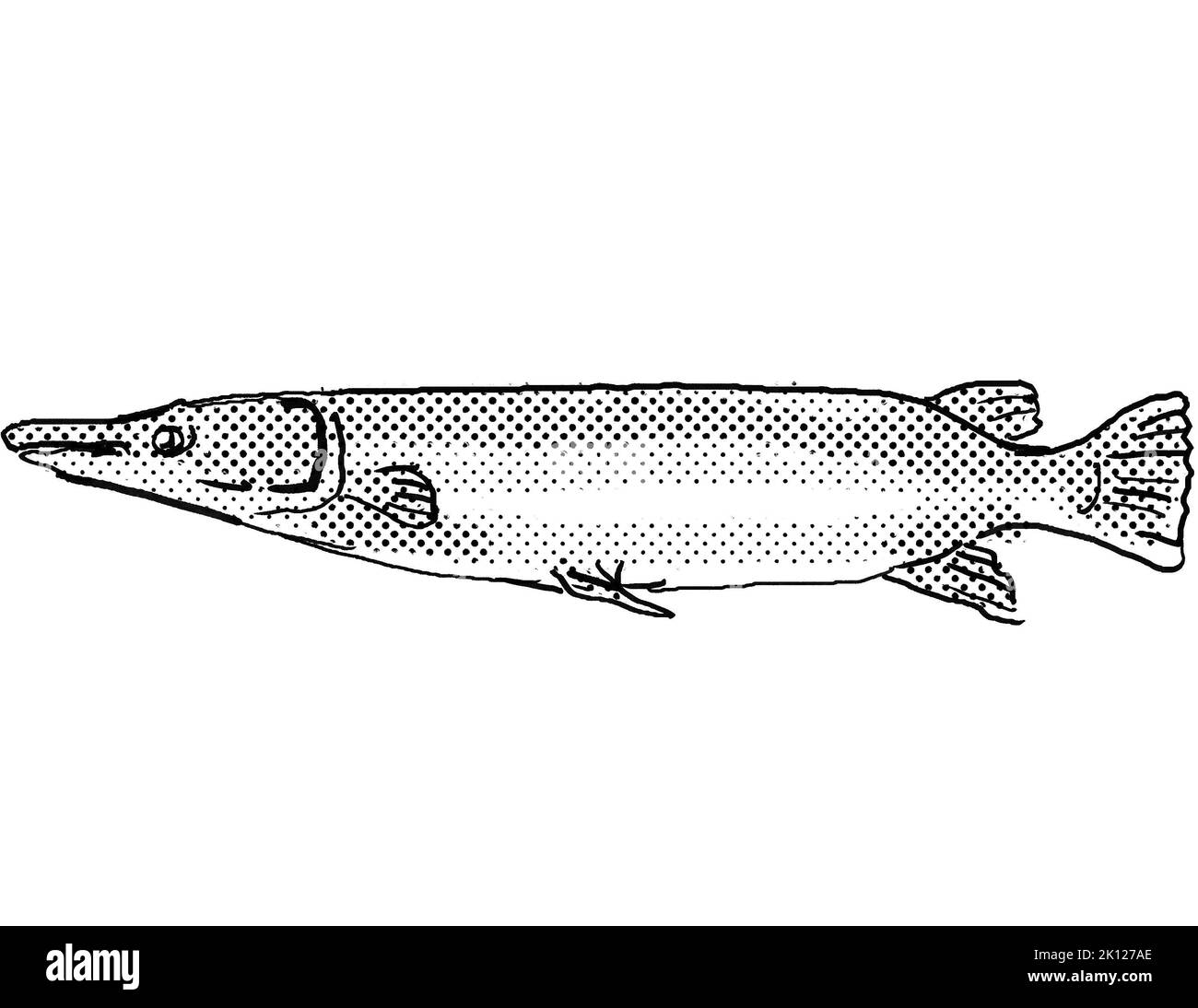 Dessin de style dessin animé d'un alligator gar ou d'une spatule d'Atractosteus poisson d'eau douce trouvé en Amérique du Nord avec des points demi-tons sur un arrière-plan isolé dans Banque D'Images