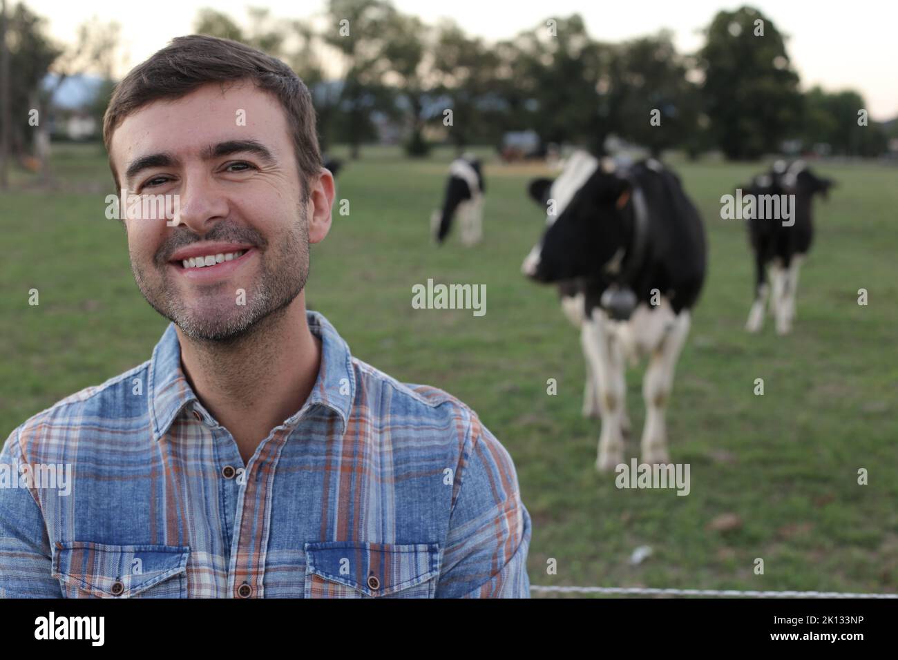 Agriculteur avec des vaches en arrière-plan Banque D'Images