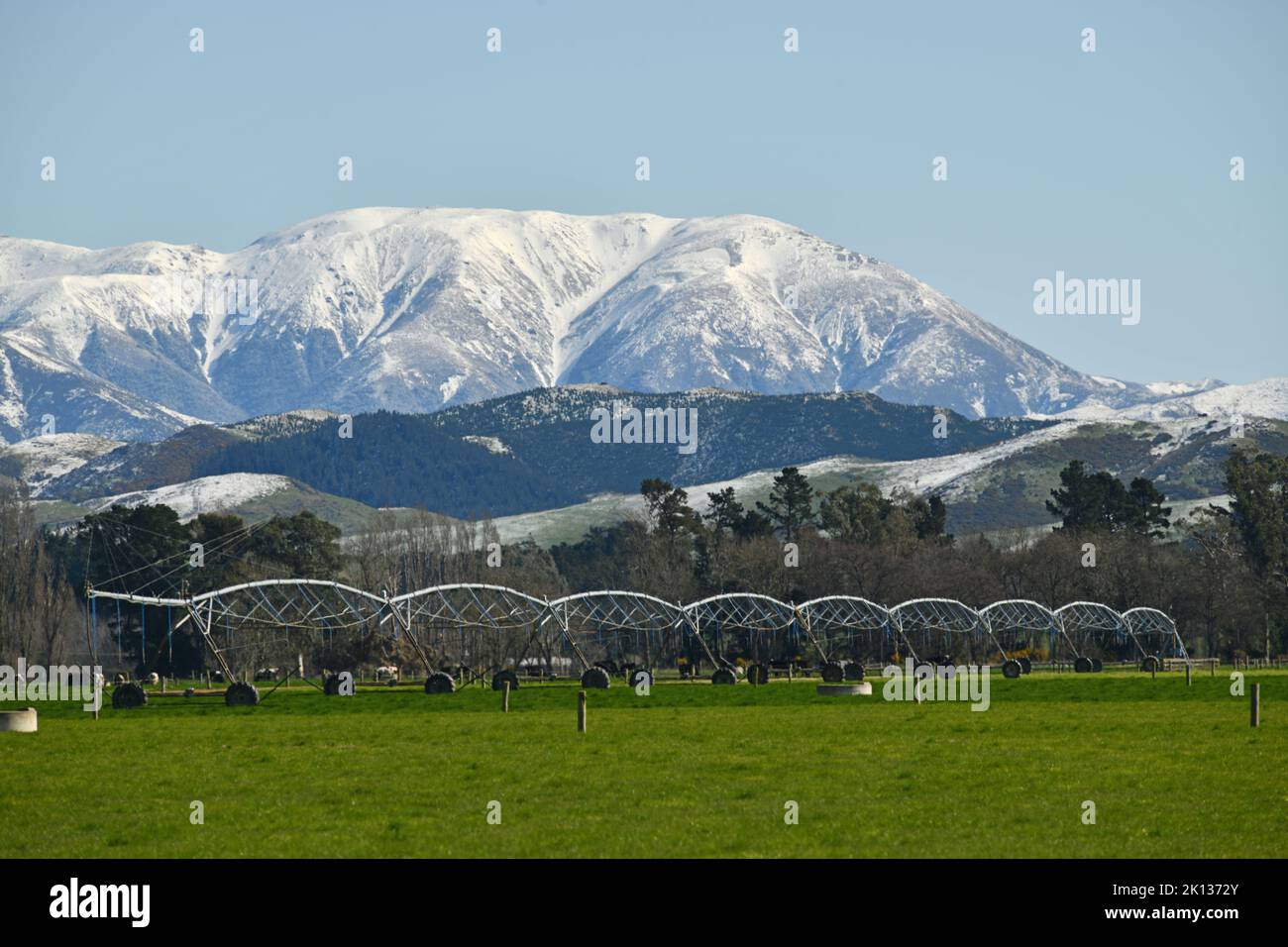 Paysage emblématique de Canterbury, Nouvelle-Zélande, avec une ferme avec matériel d'irrigation et la chaîne des Torlesse parsemée d'une rare chute de neige printanière dans le Banque D'Images