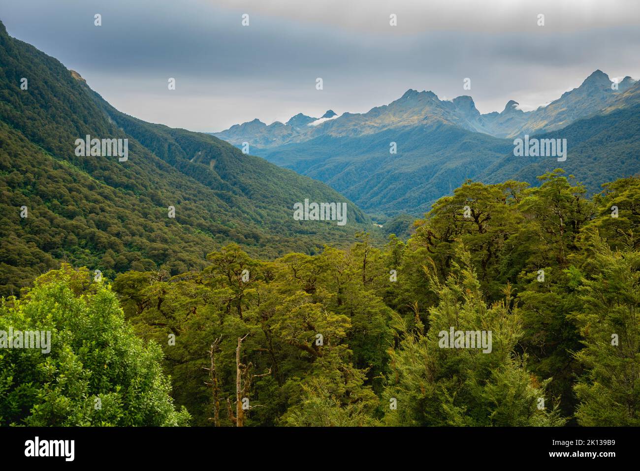 Forêt et montagnes du parc national de Fiordland, site classé au patrimoine mondial de l'UNESCO, Île du Sud, Nouvelle-Zélande, Pacifique Banque D'Images