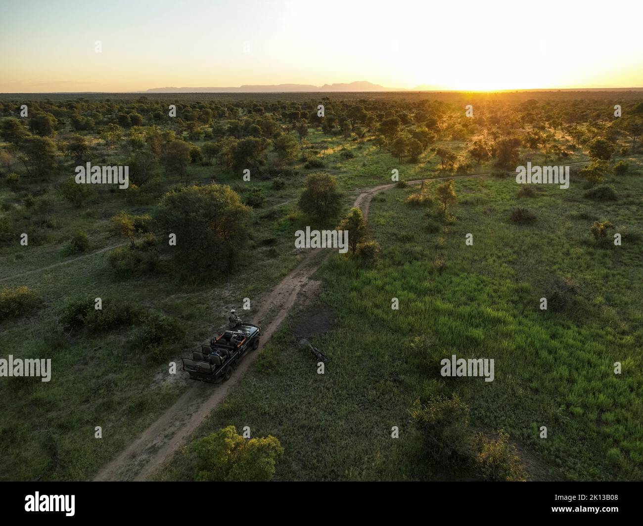 Coucher de soleil sur Safari Drive dans la réserve naturelle privée de Timbavati, Parc national Kruger, Afrique du Sud, Afrique Banque D'Images