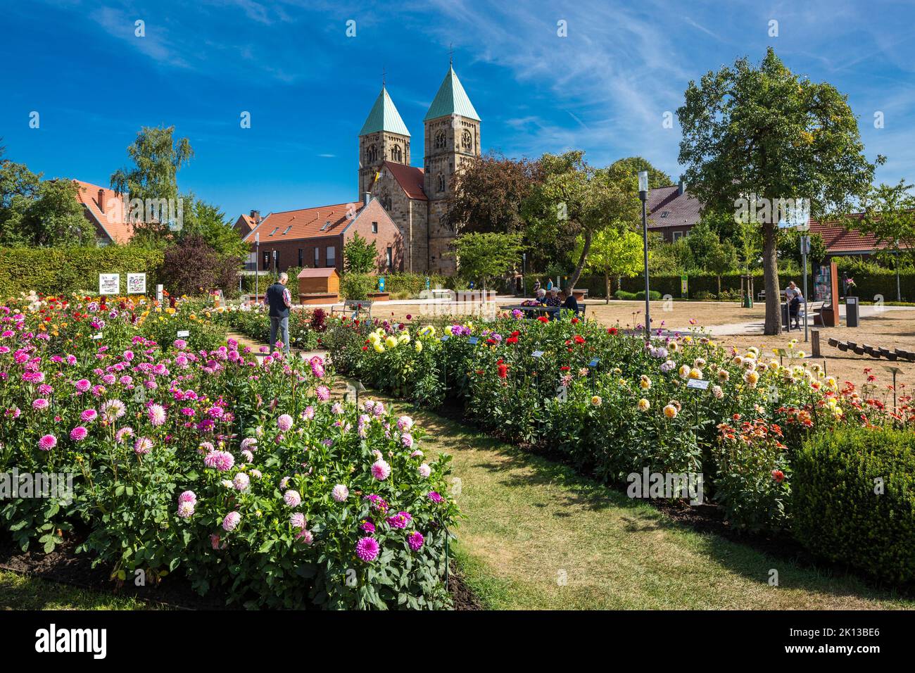 Deutschland, Legden, Westmuensterland, Muensterland, Westfalen, Nordrhein-Westfalen, NRW, Dahliengarten, Parkanlage, Blumenfeld, Dahinter die Katholis Banque D'Images