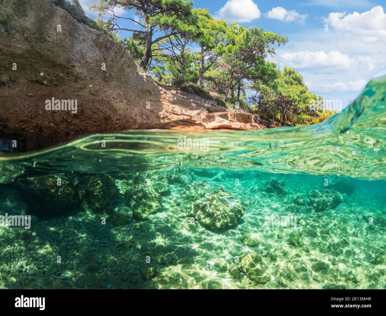 Vue partagée - vue à moitié sous-marine de magnifiques fonds marins et côte rocheuse avec des pins, la Turquie, Bodrum. Banque D'Images
