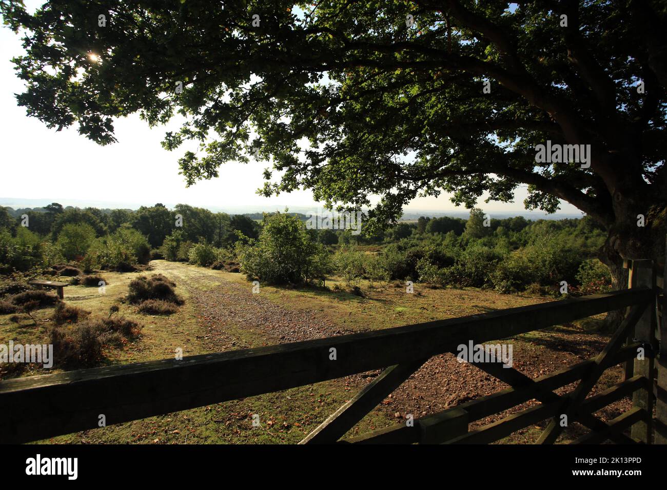 Chemin public sur Kinver Edge, Kinver, Staffordshire, Angleterre, Royaume-Uni. Banque D'Images