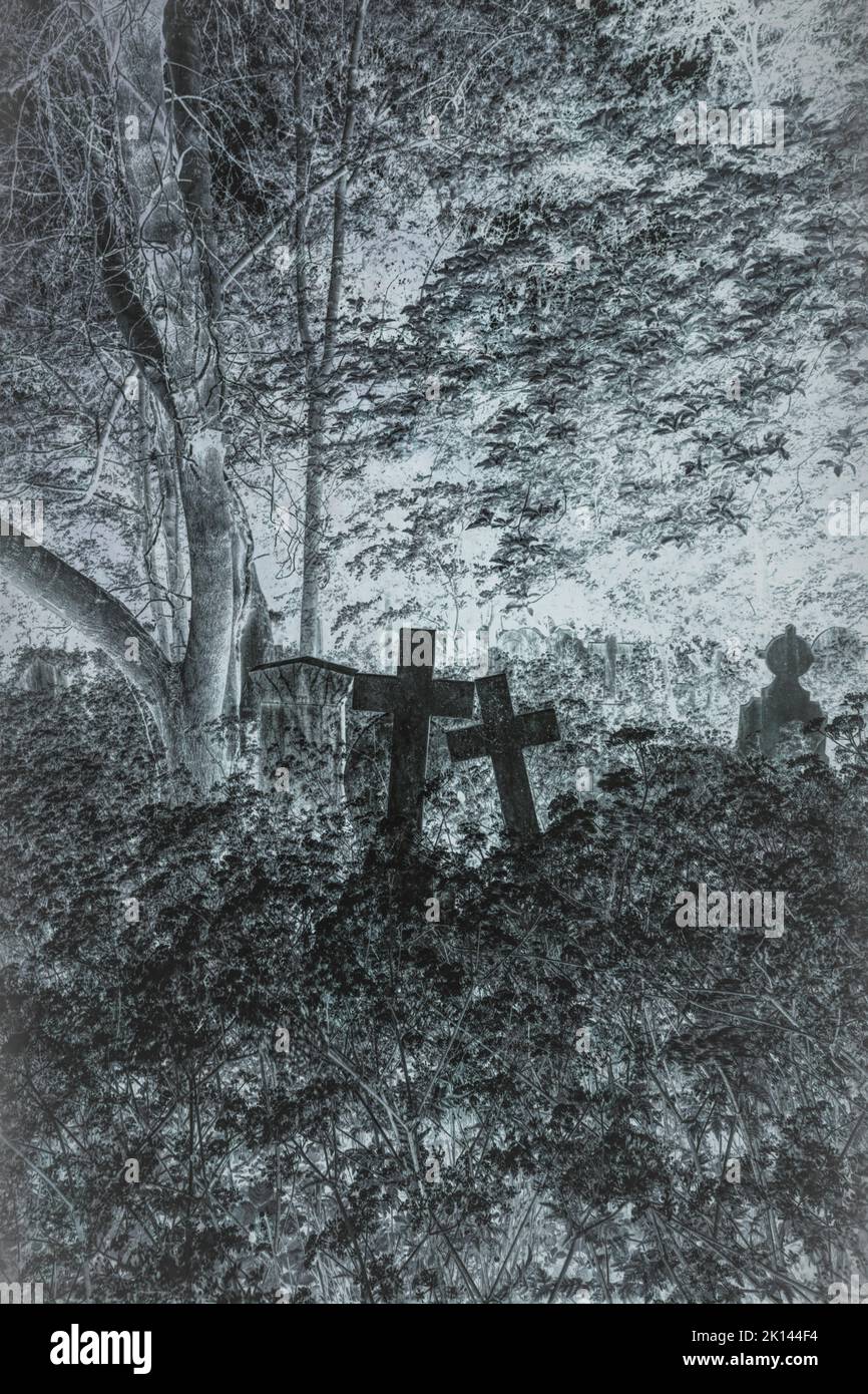 Image atmosphérique de deux croix dans un cimetière surcultivé effrayant Banque D'Images