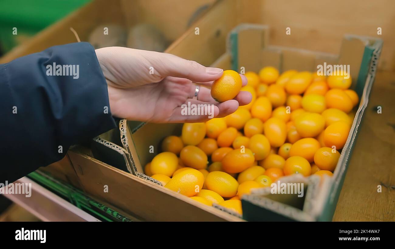 Jeune femme qui choisit des kumquats frais dans un supermarché choisi dans une ferme biologique. Banque D'Images